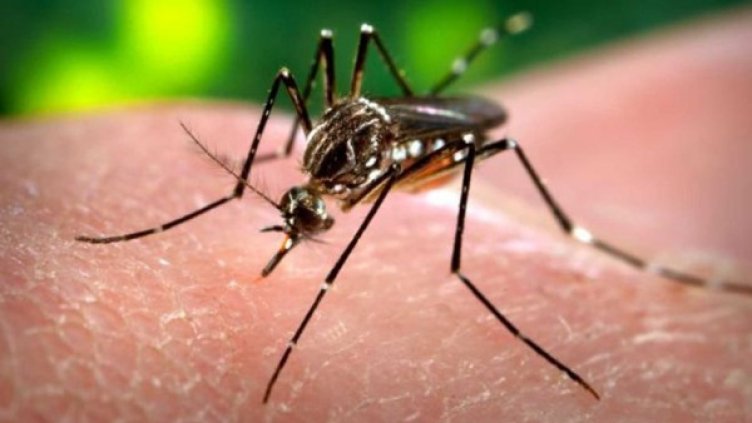 Източник: Reuters