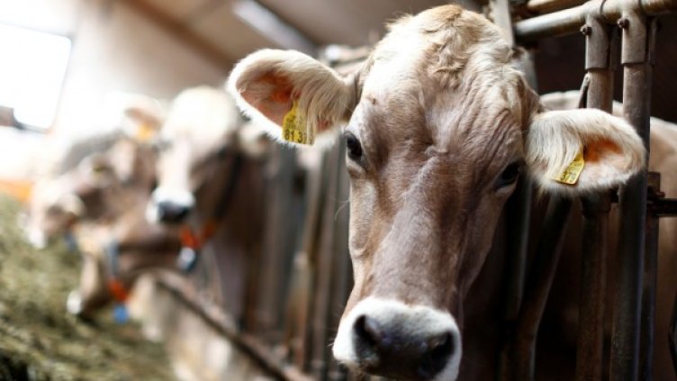 Снимка: архив, Reuters