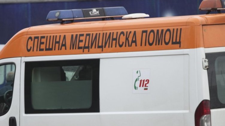 Снимка: Архив Булфото