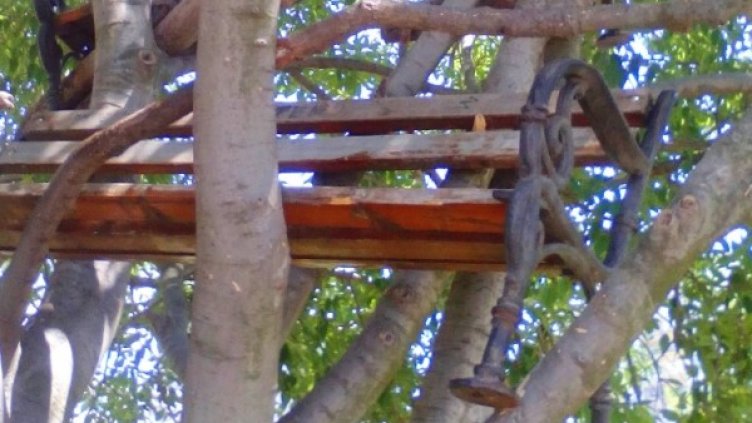 Снимка: Община Бургас