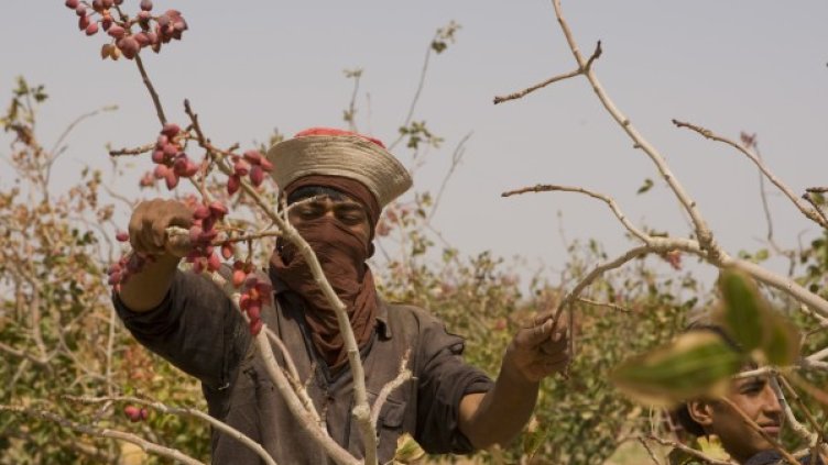 Снимка: архив, Reuters