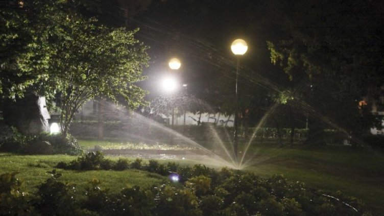 Снимка: архив, Булфото