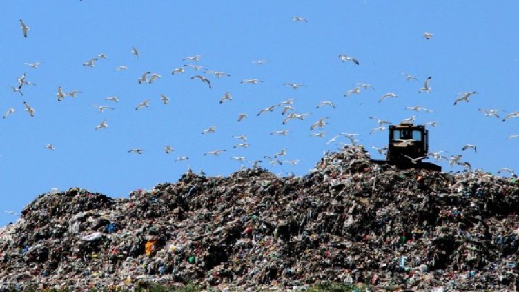 Снимка: архив, Bulphoto