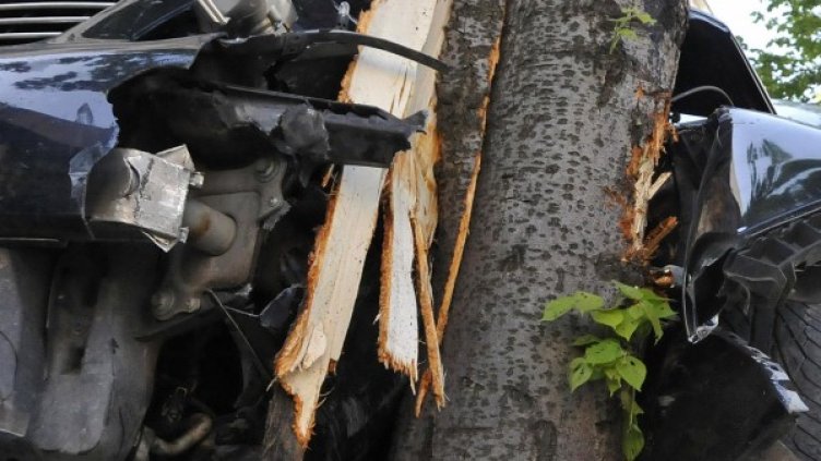 Снимка: архив Булфото