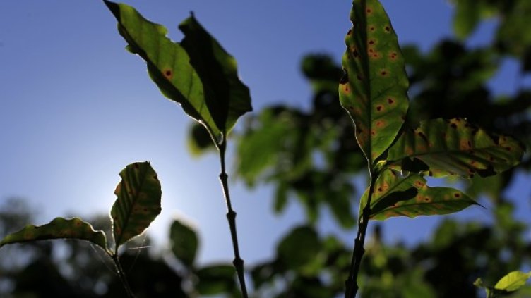 Източник: Reuters