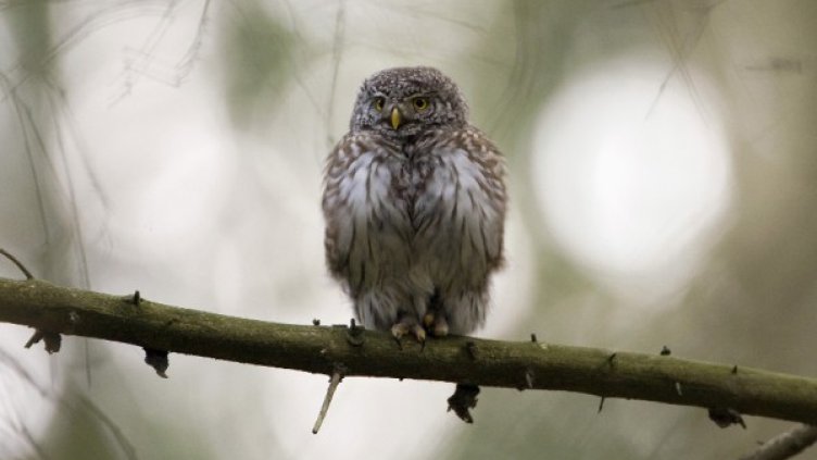 Снимка: архив, Reuters