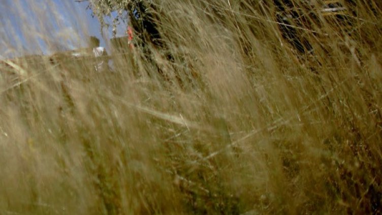 Снимка: Reuters