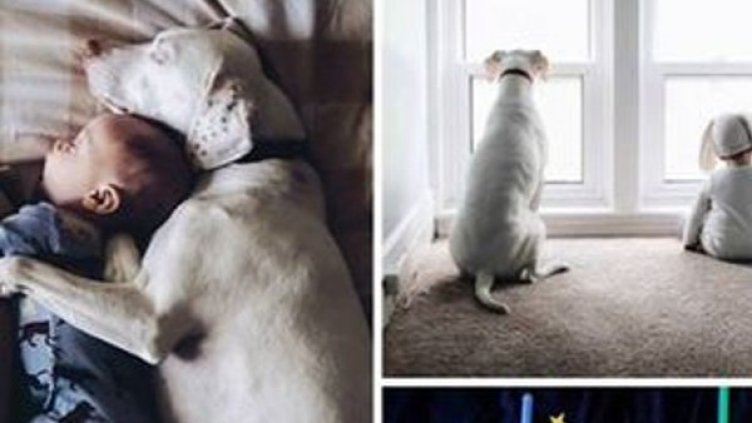 Снимка: Facebook