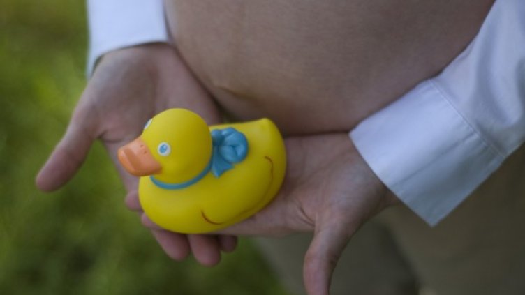 Снимка: freeimages