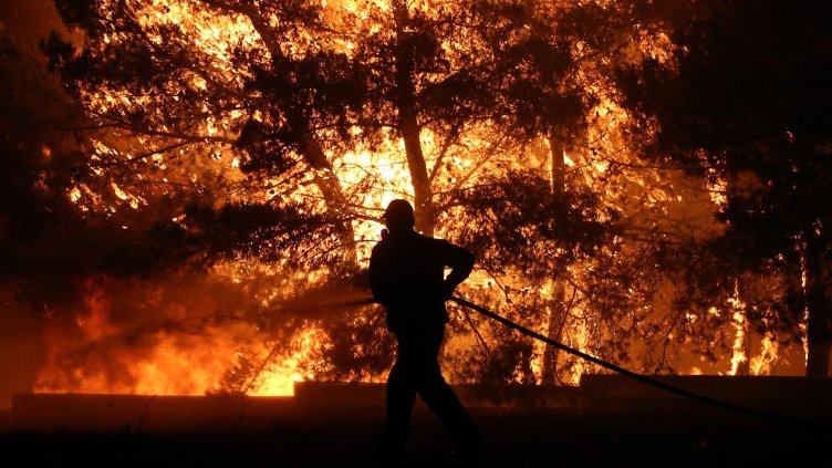 Снимка: архив, БГНЕС
