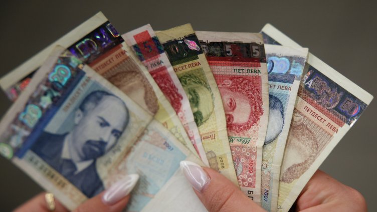 Снимка: архив, БГНЕС