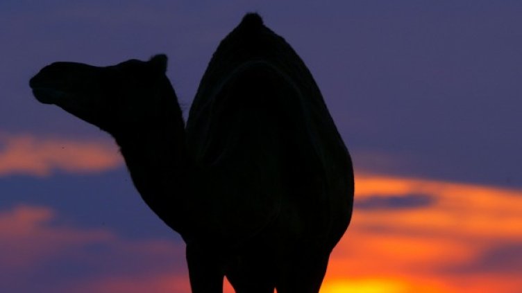 Снимка: архив, Ройтерс