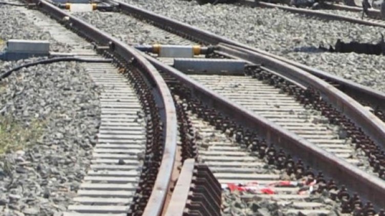 Снимка: Архив Булфото