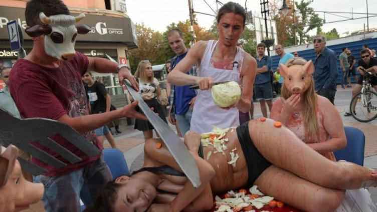 Снимка: Булфото