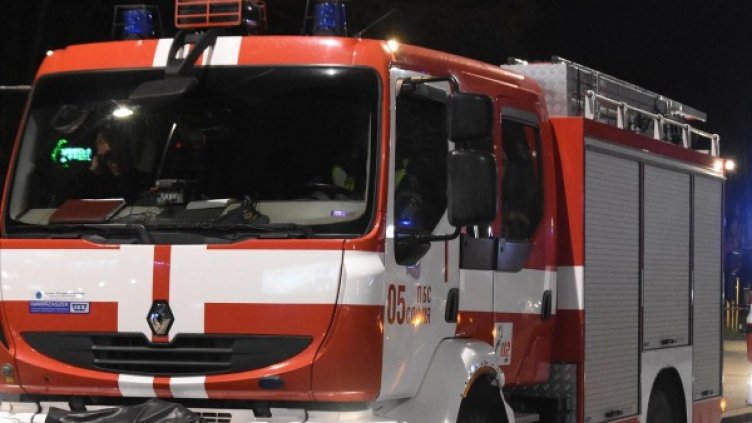 Снимка: Булфото, архив