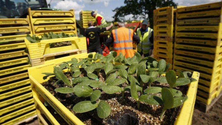 Снимка: Reuters, архив
