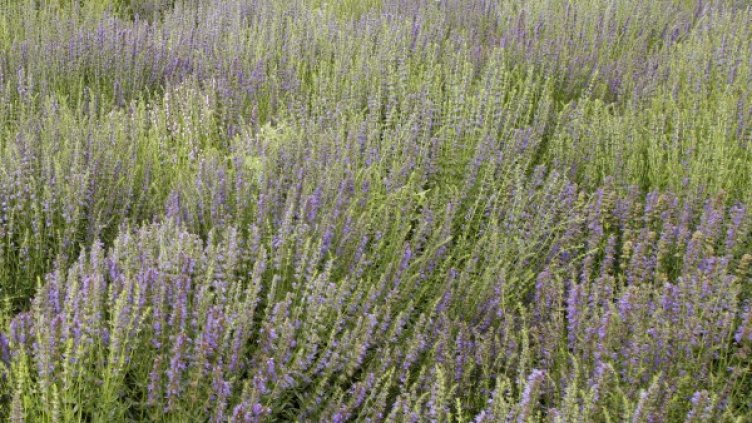 Снимка: архив, Reuters