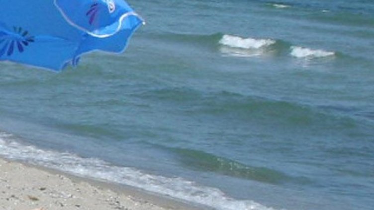 Снимка: Булфото, архив