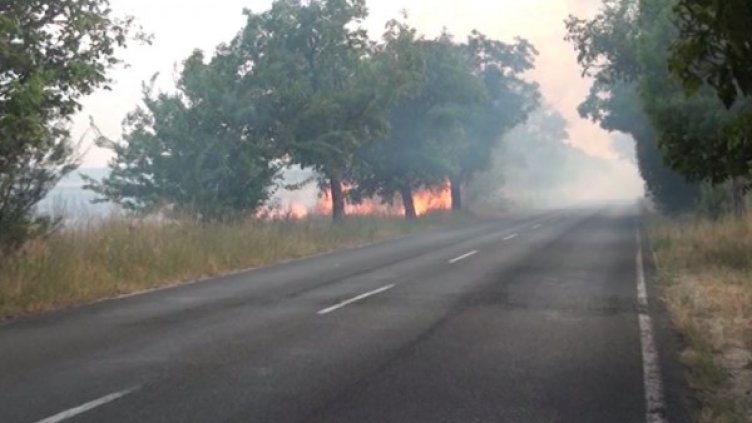 Снимка: Dnes.bg