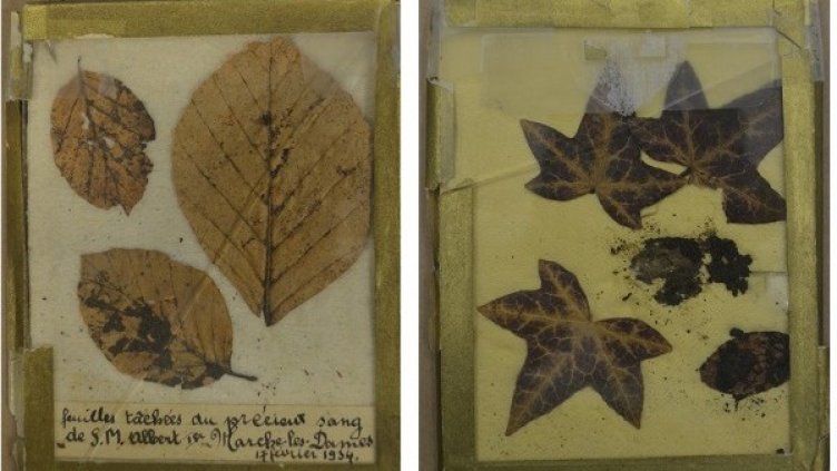 Снимка: Католически университет в Льовен/Мартен Лармасо