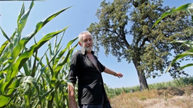 64-годишният Боби показва отдалече дървото и разказва легенди за него. Снимка: Труд