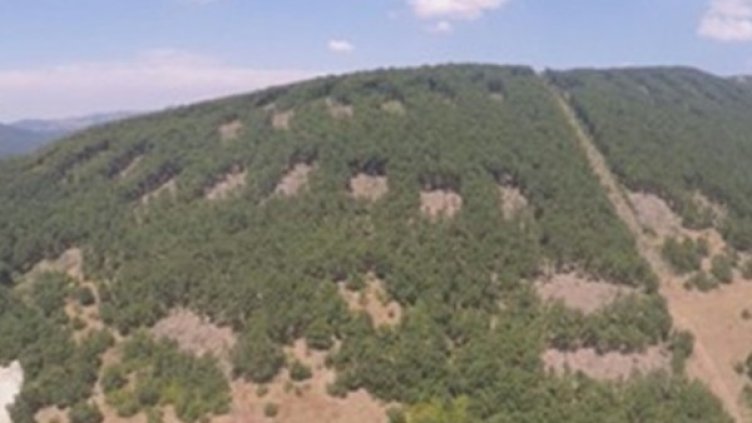 Снимка: "24 часа"