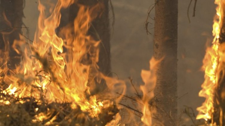 Снимка: архив, Reuters