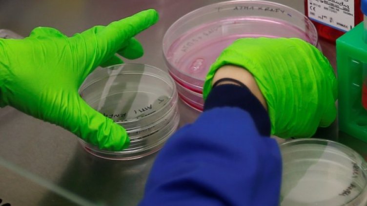 Снимка: архив, Reuters