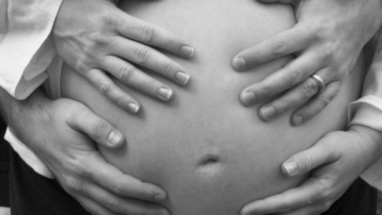 Снимка: freeimages