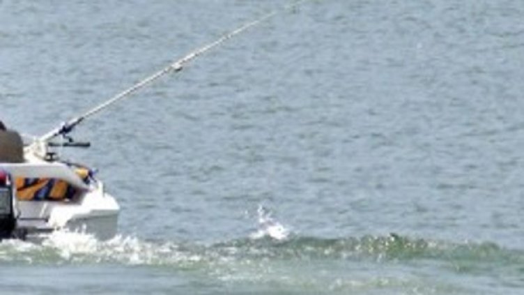 Снимка: архив, БулФото