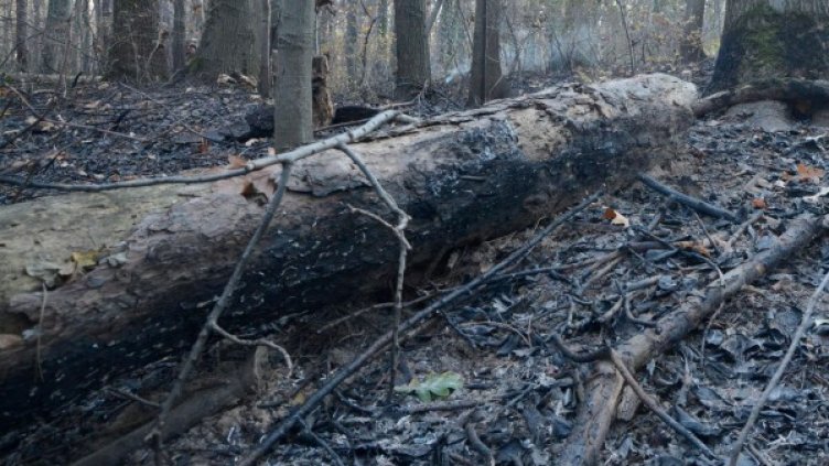 Снимка: Булфото, архив