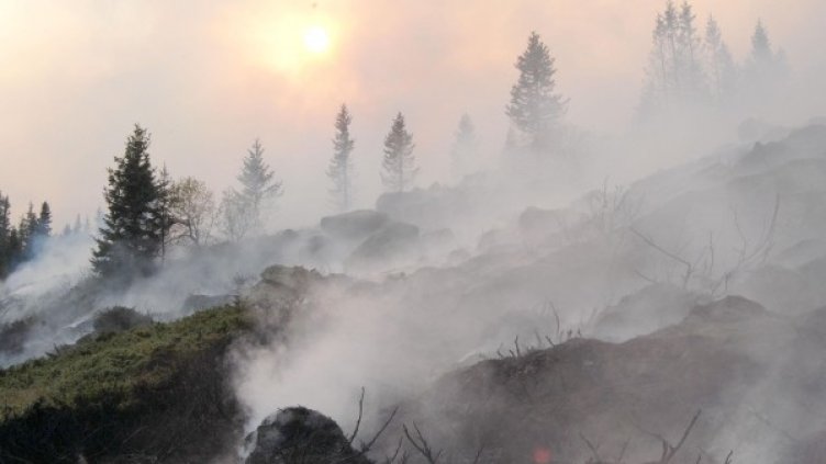 Снимка: Булфото, архив