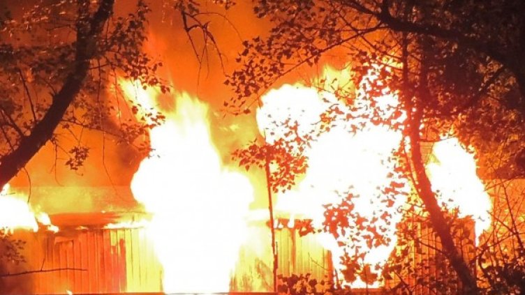 Снимка: архив Булфото