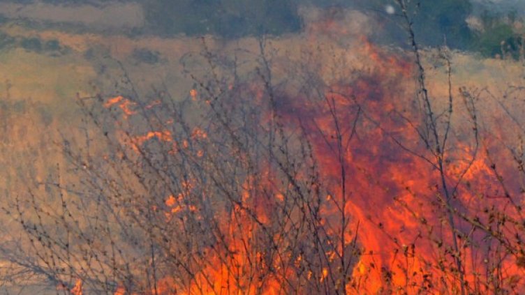 Снимка: Архив БТА