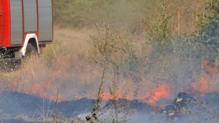 Снимка: Архив БТА