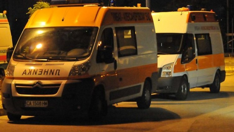 Снимка: архив Булфото