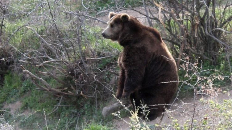 Снимка: Булфото, архив