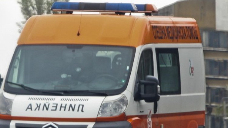 Снимка: Архив Булфото