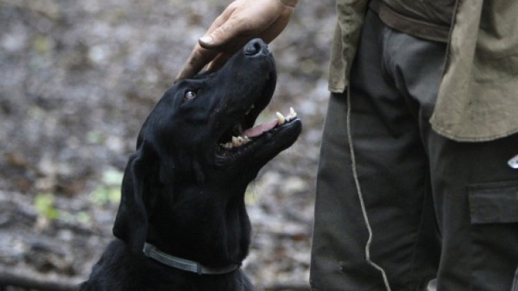 Снимка: архив Reuters