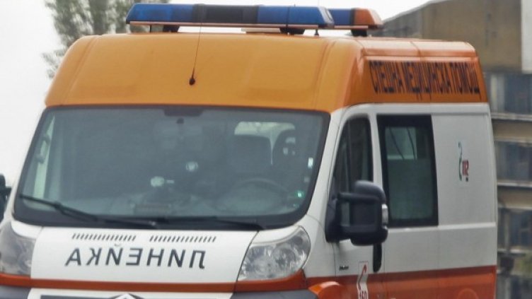 Снимка: Архив Булфото