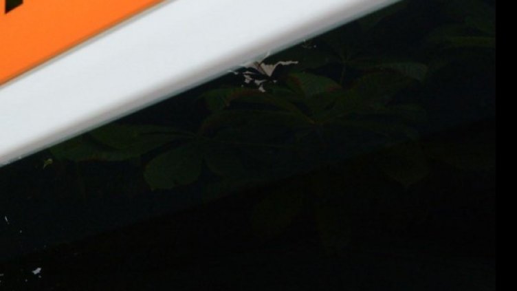 Снимка: архив Булфото