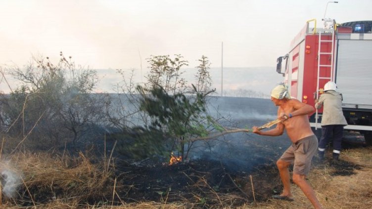 Снимка: архив, Булфото