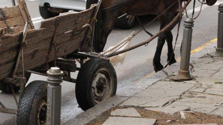 Снимка: архив, БулФото
