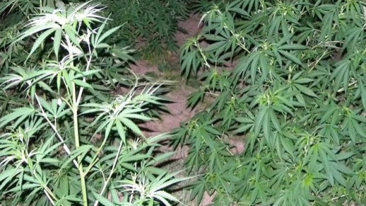 Снимка: Архив Булфото