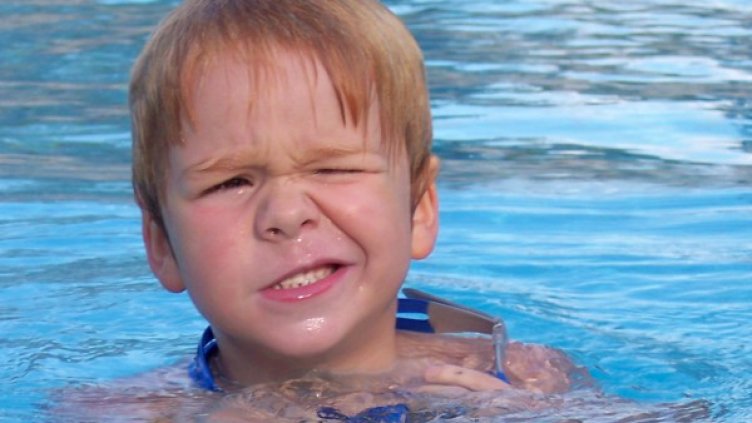 Снимка: freeimages