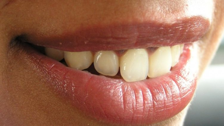 Снимка: freeimages