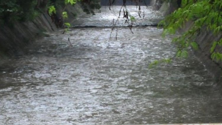 Снимка: Булфото, архив