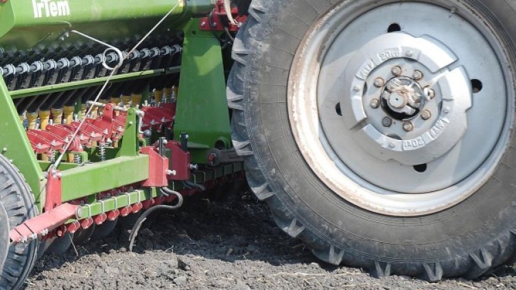 Архив: Булфото