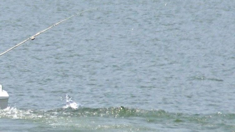 Снимка: архив, БулФото