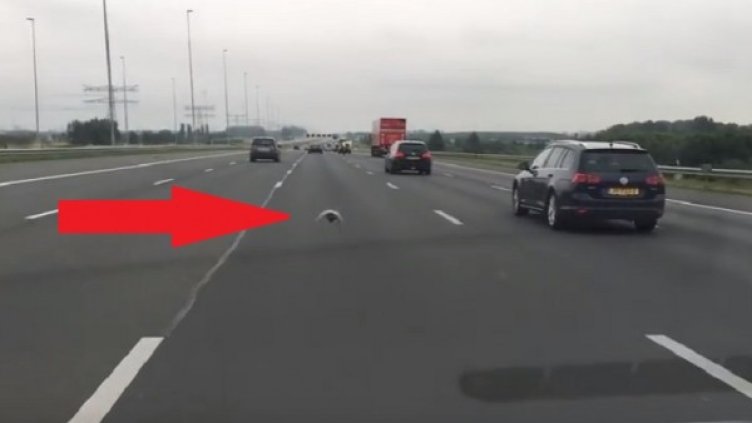 Снимка: YouTube